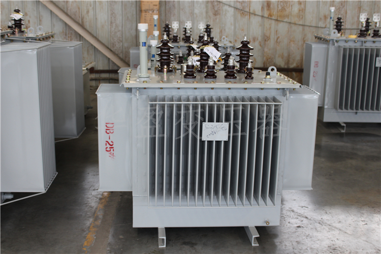 吕梁S20-800kVA/10kV/0.4kV变压器